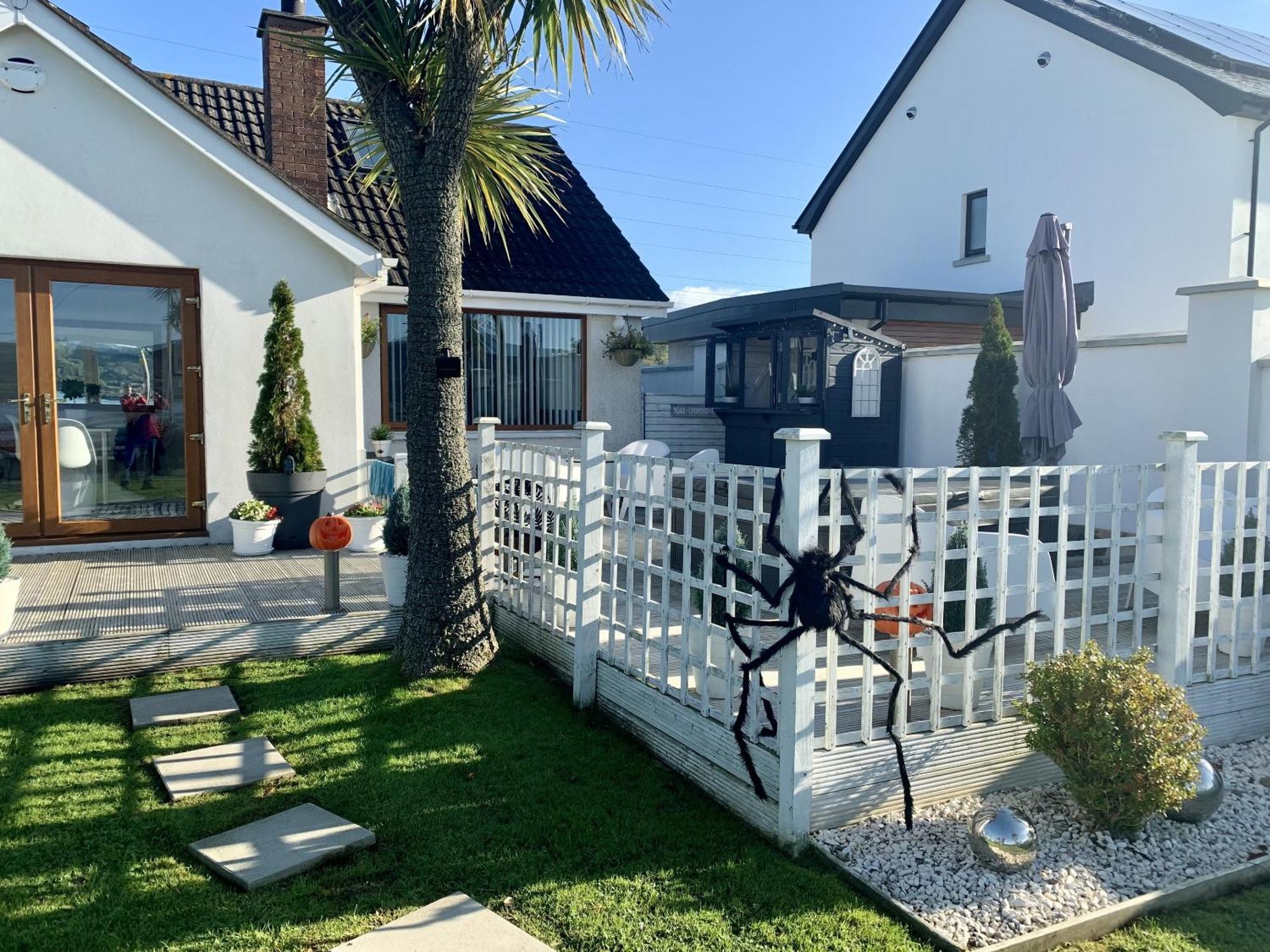 Seaview Cottage On The Island Millbay Exteriör bild